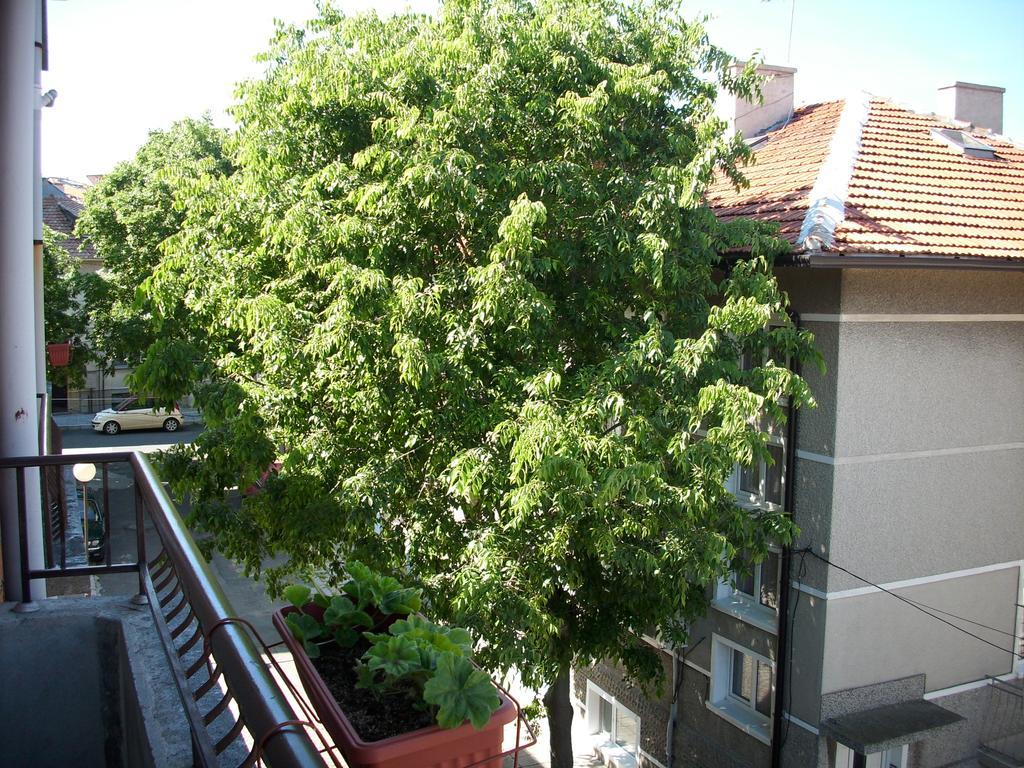 Georgievi Guest House Pomorie Eksteriør bilde